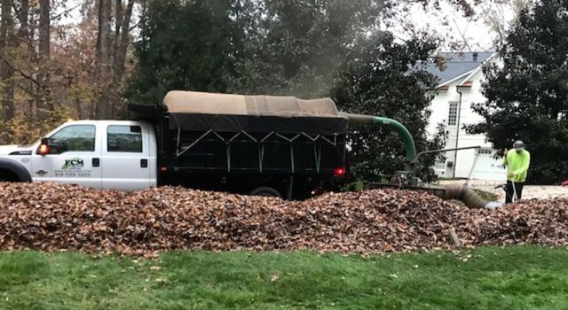 ECM Leaf Removal Raleigh NC