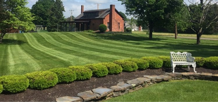 Beautifully mowed lawn in the background with a hedge row and seating bench in the foreground.