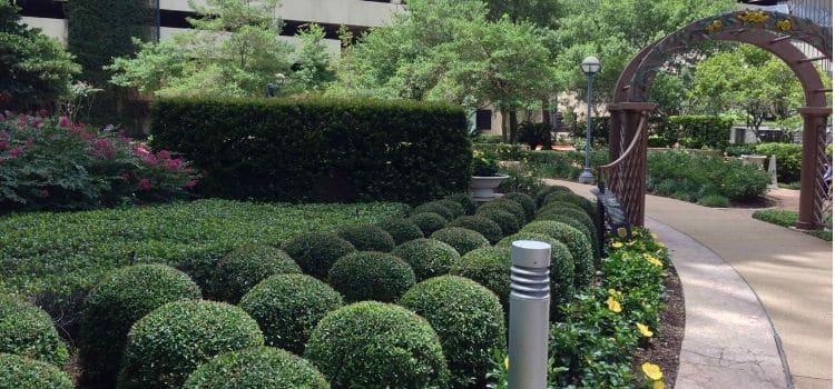 Commercial landscaping beds and walking path very well maintained.