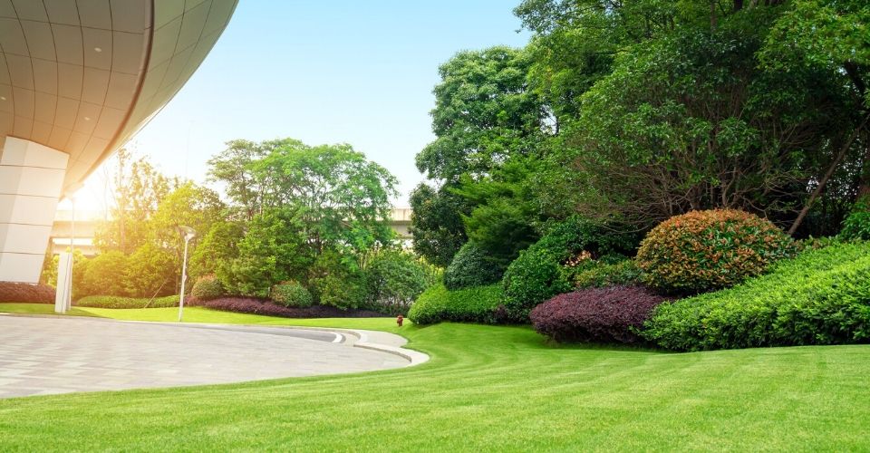 Land and landscape of a commercial facility well groomed.