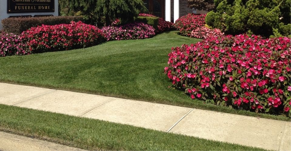 Stunning lawn and landscape at the entrance of a business.