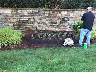 ECM employee planting seasonal flowers in an HOA entrance.