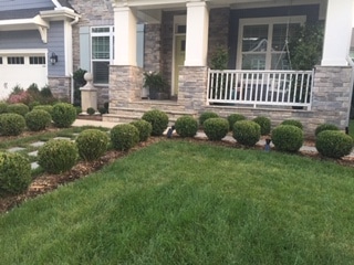 Very nice front lawn with pruned shrubs in the bed with the house in the background.