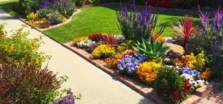 Color annual flower additions making this landscape bed warm and inviting with fall setting in.