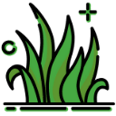 Icon featuring growing grass.