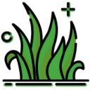 Grass Icon