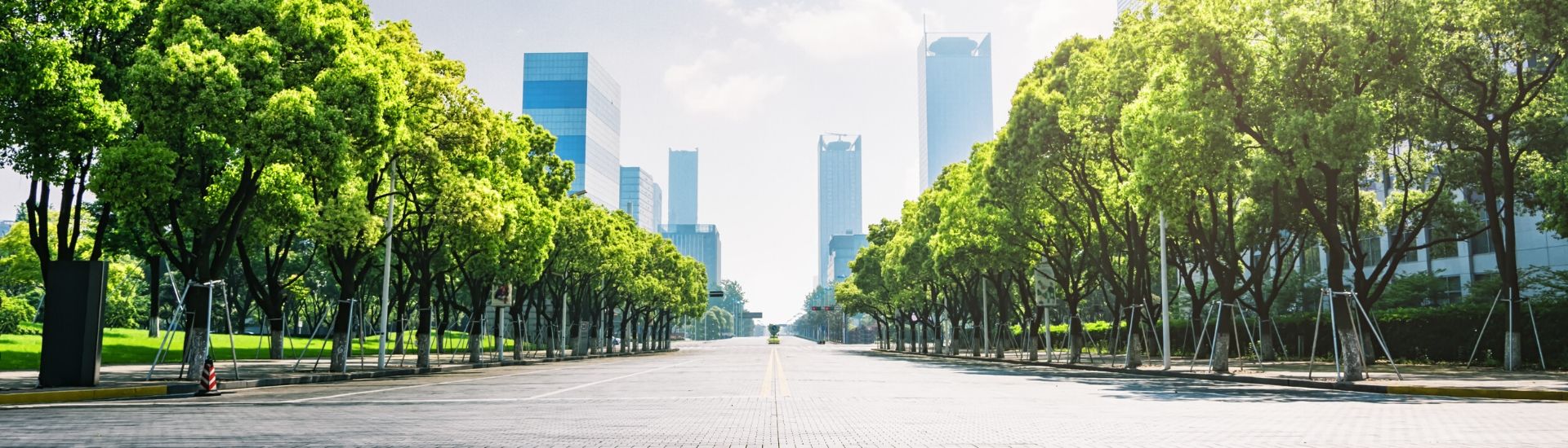 Tree lined paver road with sky scraper buildings in the background.