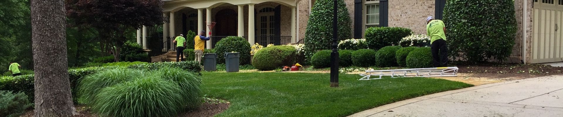 4 ECM Landscaping and Lawn Care employees working on a lawn and landscaping in North Raleigh, NC.