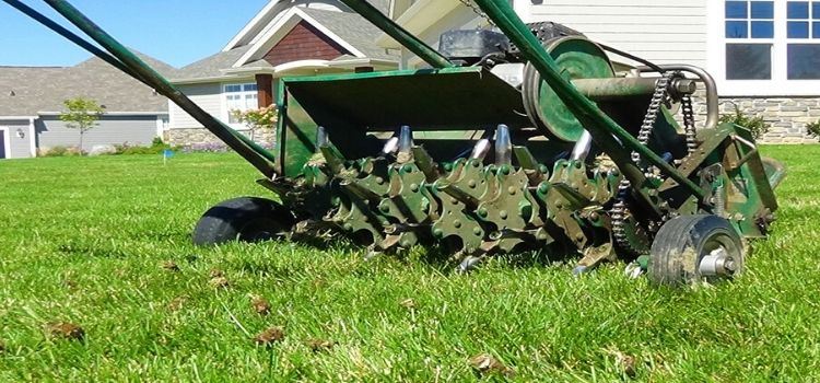 Drum style aerator in a front lawn.