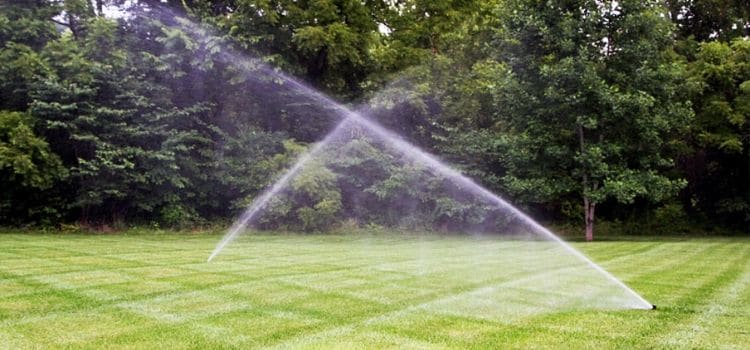 2 sprinklers watering a lawn with woods in the background.