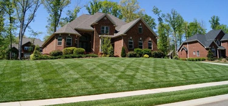 Home with a recently mowed front lawn.