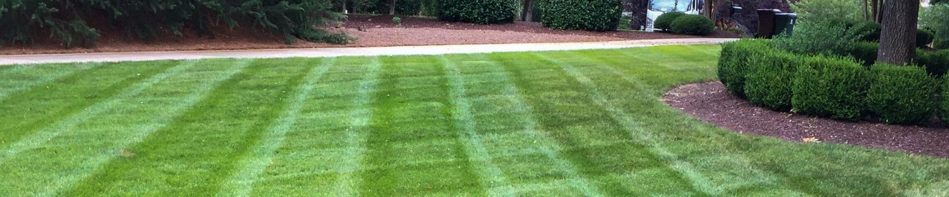 Lawn mowed by ECM Landscaping and Lawn Care.