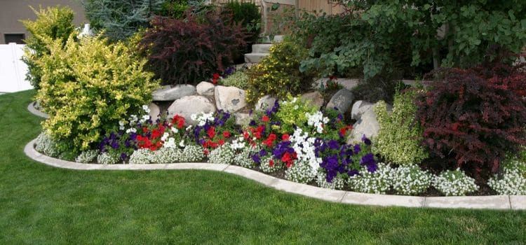 Spring annual flowers making this landscape bed pop!