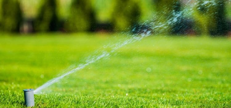 Sprinkler head watering a healthy lawn.